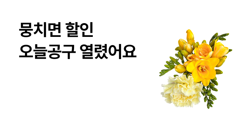 프리지아 10줄기 + 랜덤꽃 1송이