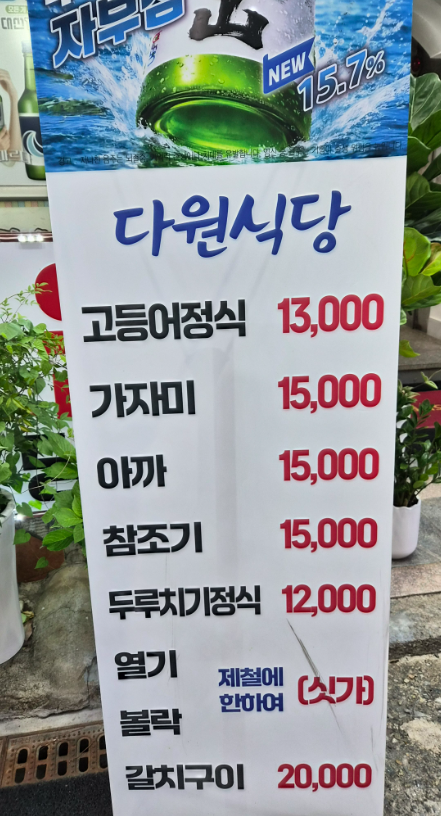 다원 대표 사진