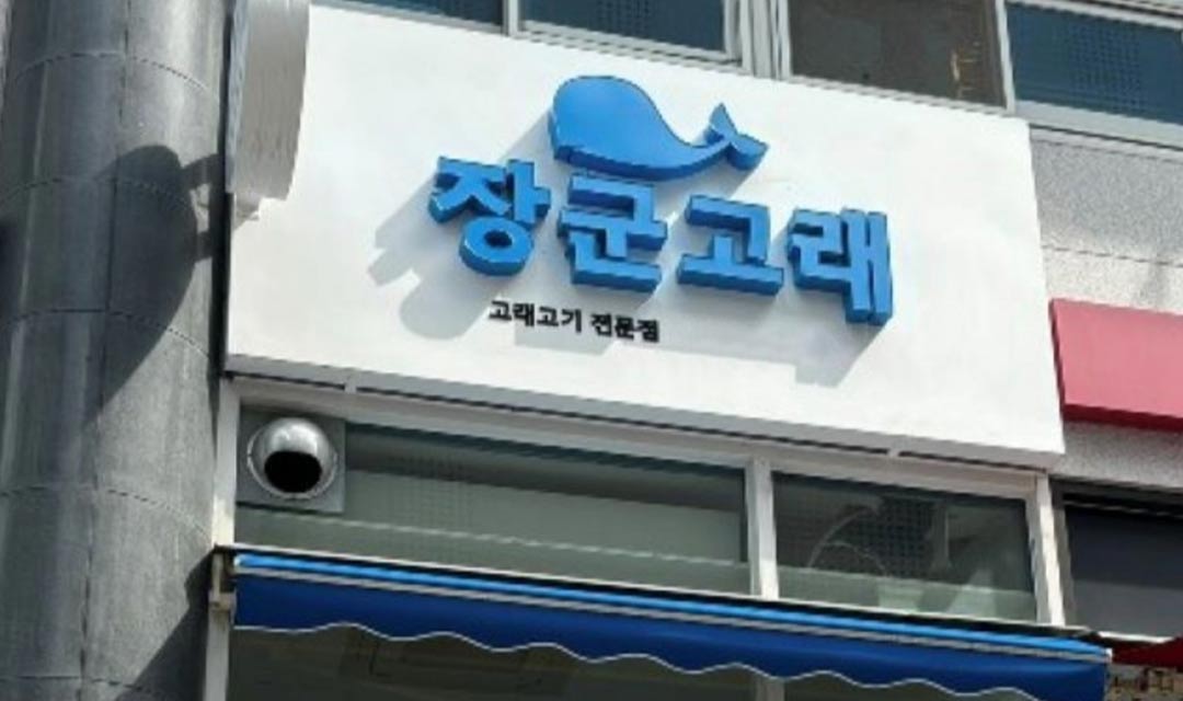 장군고래 사진 3