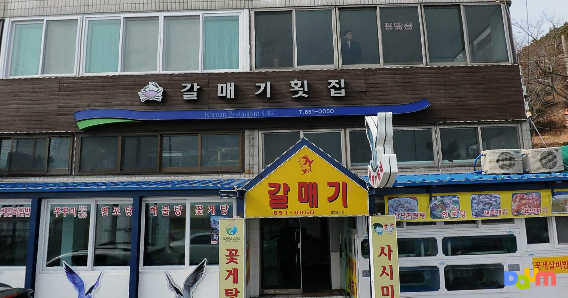 갈매기횟집 대표 사진