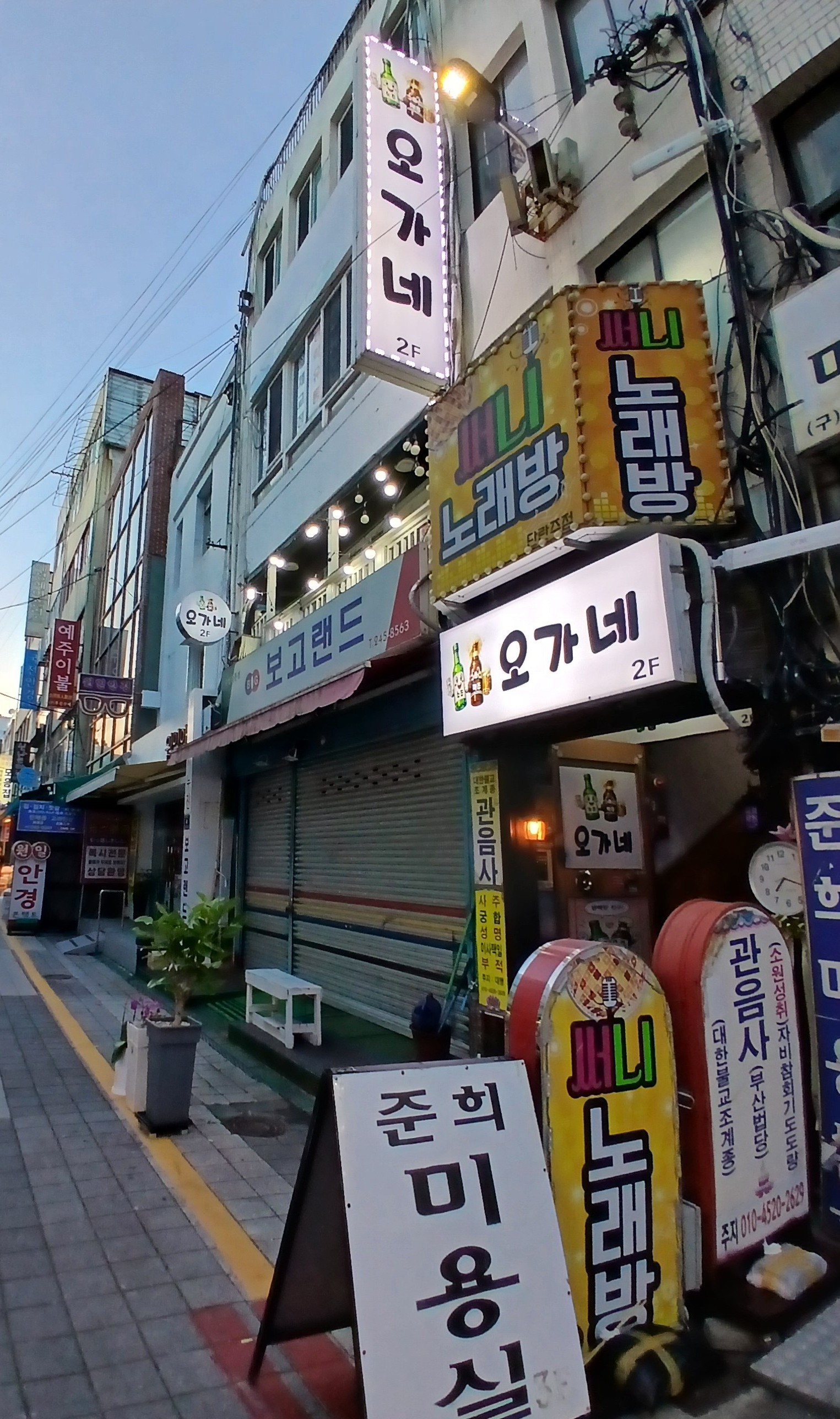 오가네 사진 8
