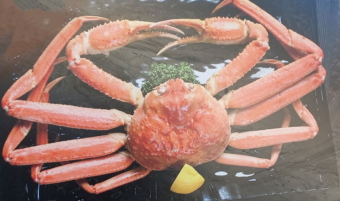 대게마당 대표 사진
