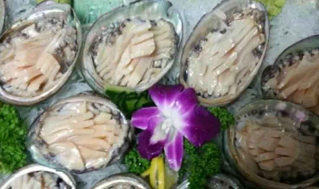 흑산도전복 사진 5