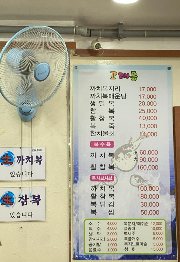 고래등 사진 2