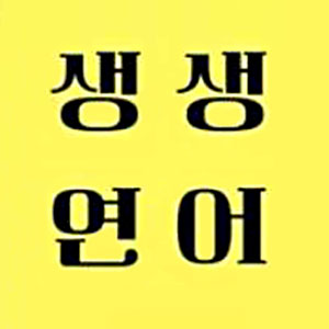 생생연어 사진 8