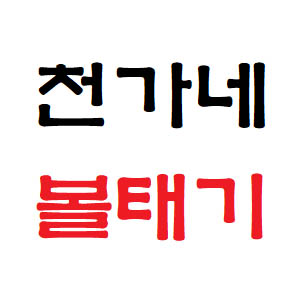 천가네볼태기 사진 3