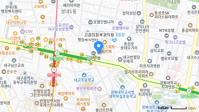 고운미피부과의원 카카오맵