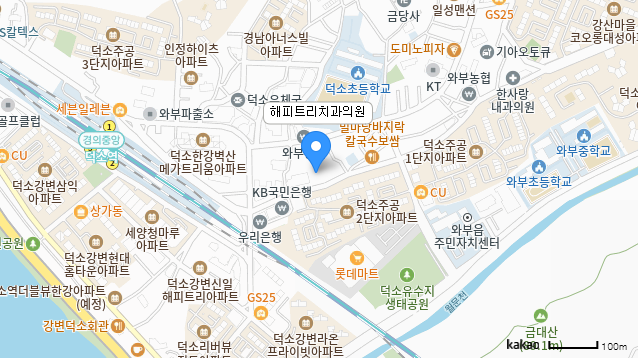 남양주 덕소 해피트리치과 위치 카카오맵