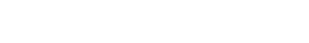 if(kakaoAI)2024