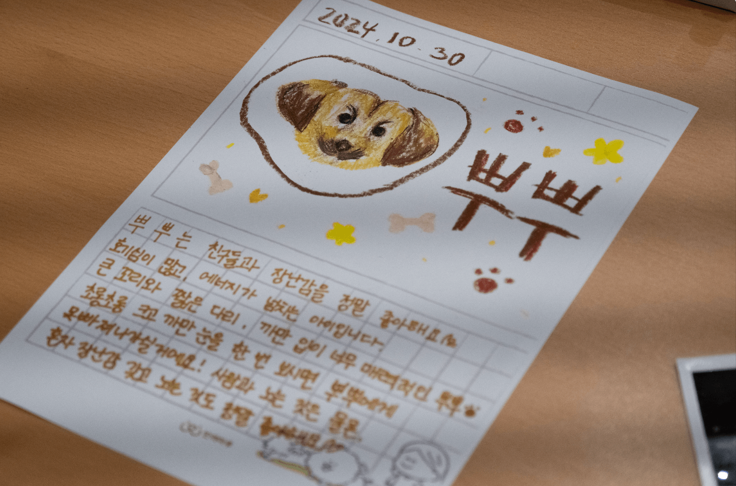 강아지 뿌뿌의 모습과 특징이 기재된 입양카드 종이입니다.
