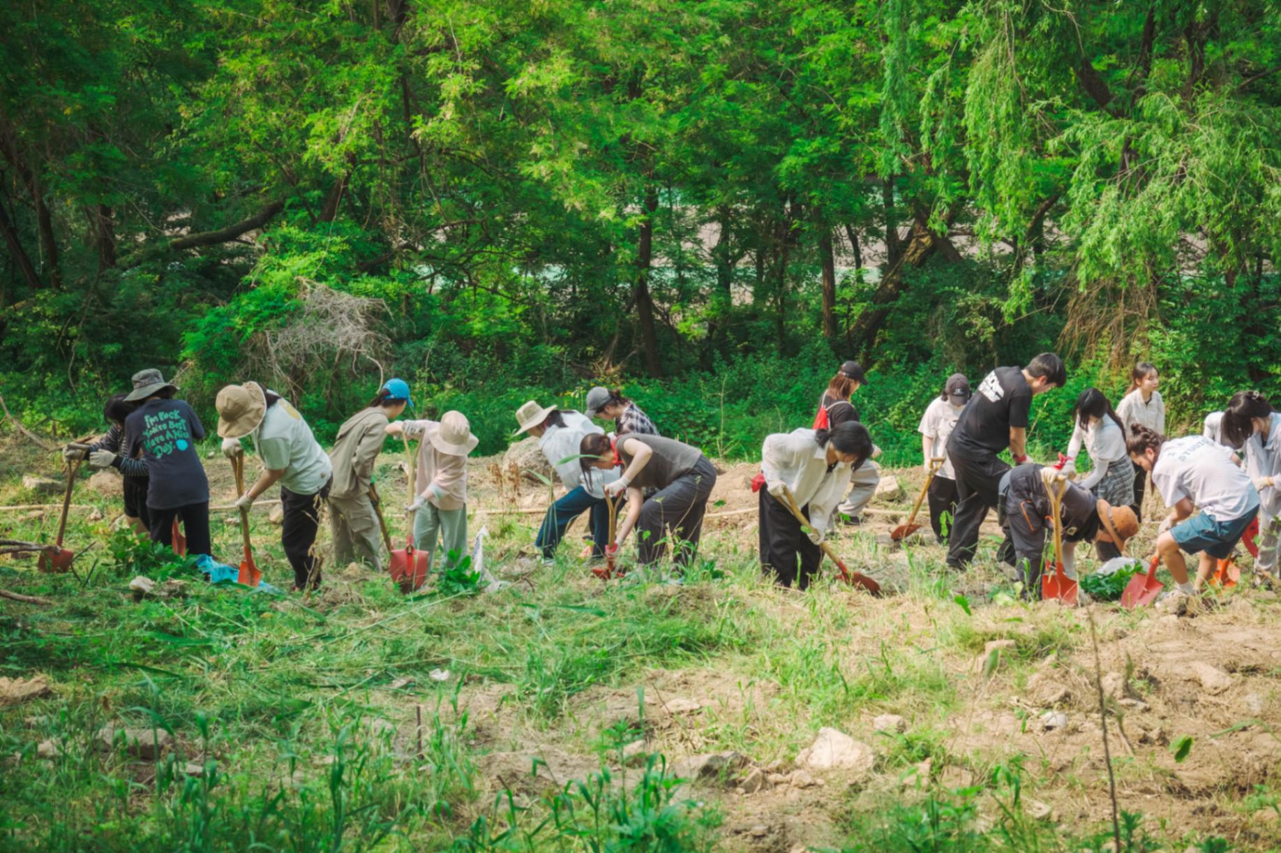 땅을 파며 나무를 심고 있는 기버분들의 모습입니다.