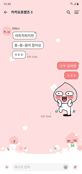 KakaoTalk Apitch-themed chat screen