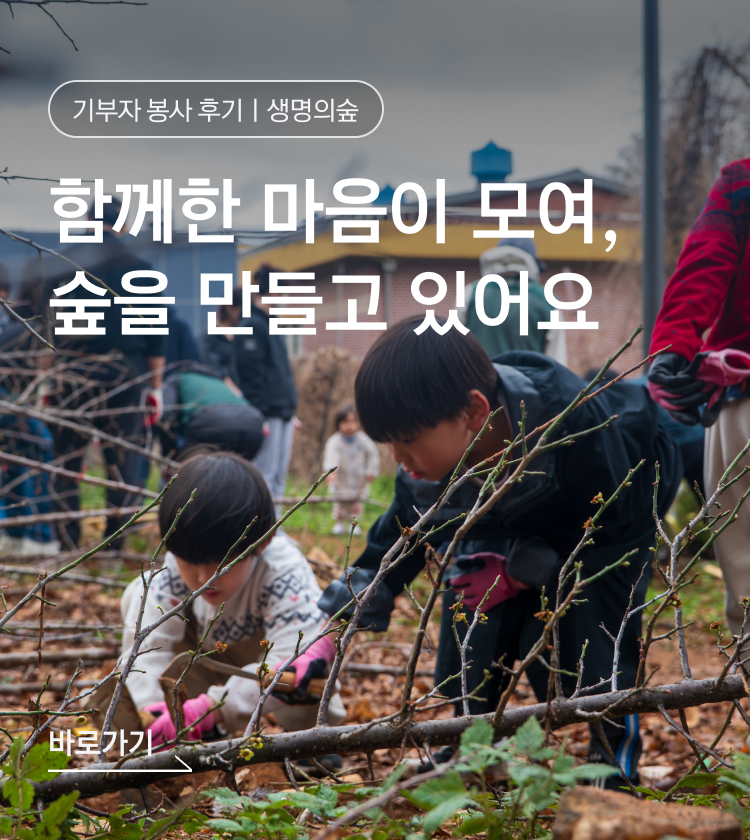 기부자 봉사 후기ㅣ생명의숲: 함께한 마음이 모여,숲을 만들고 있어요