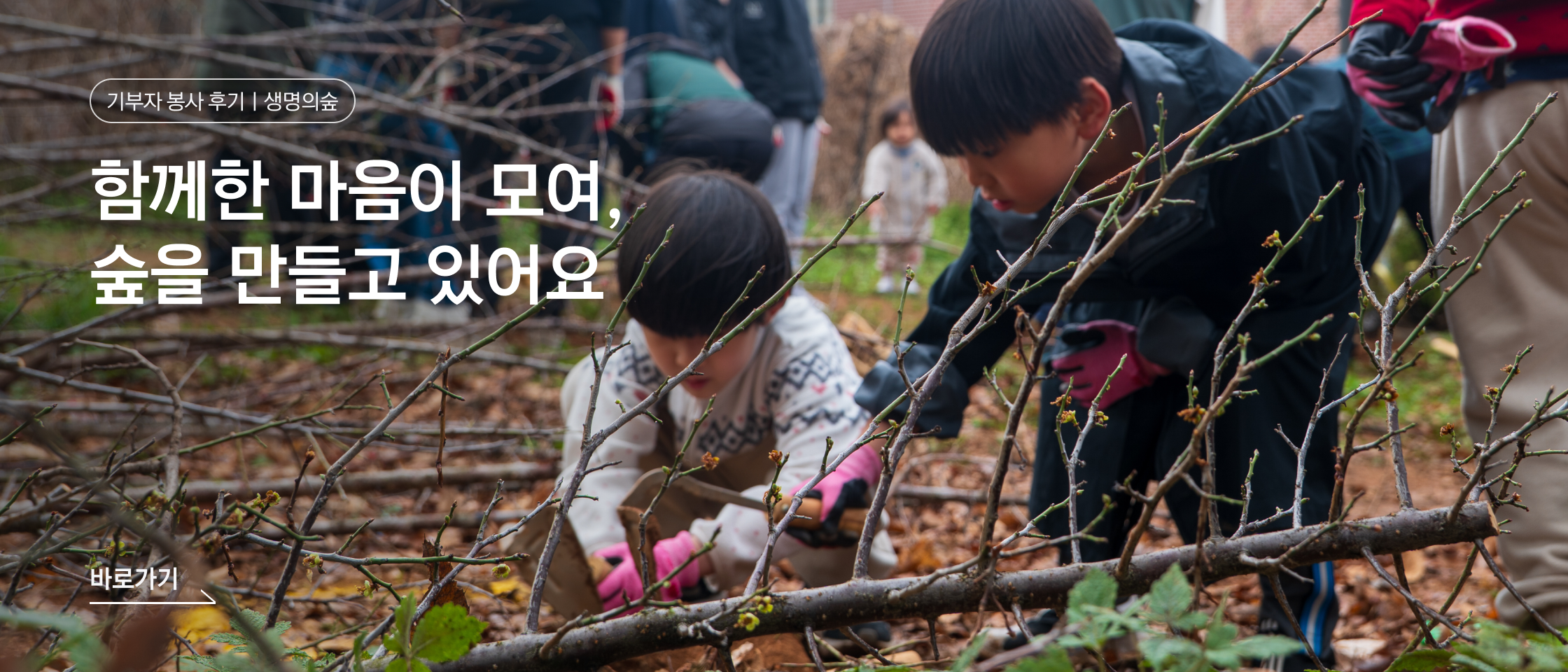 기부자 봉사 후기ㅣ생명의숲: 함께한 마음이 모여,숲을 만들고 있어요